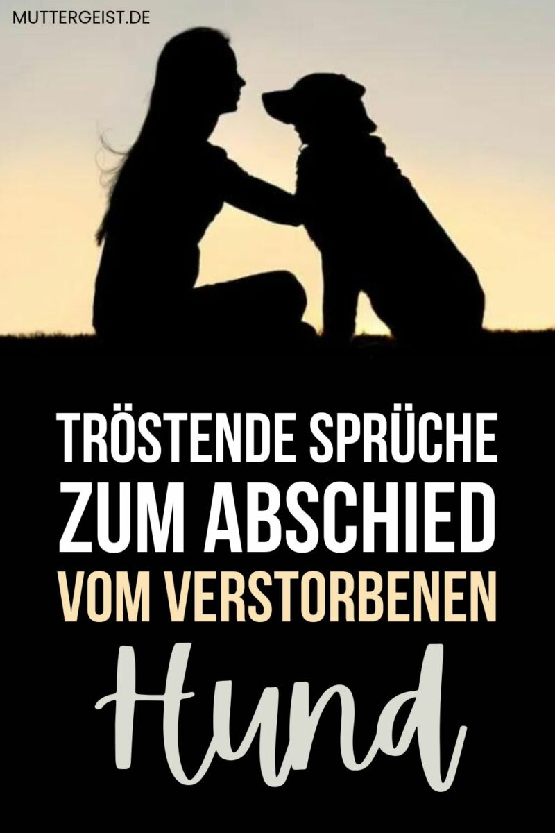 Tröstende Sprüche zum Abschied vom verstorbenen Hund