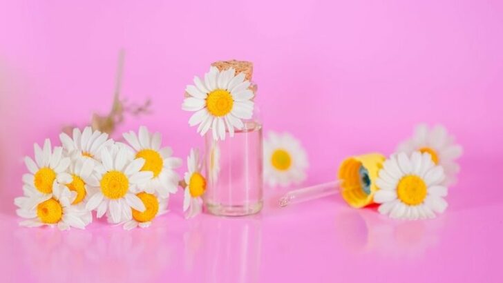 Ätherische Öle Für Dich Und Dein Baby: Harmlos Oder Gefährlich?