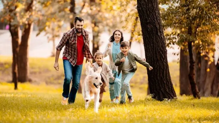 83 kluge Familien-sprüche für besondere Anlässe oder einfach nur so