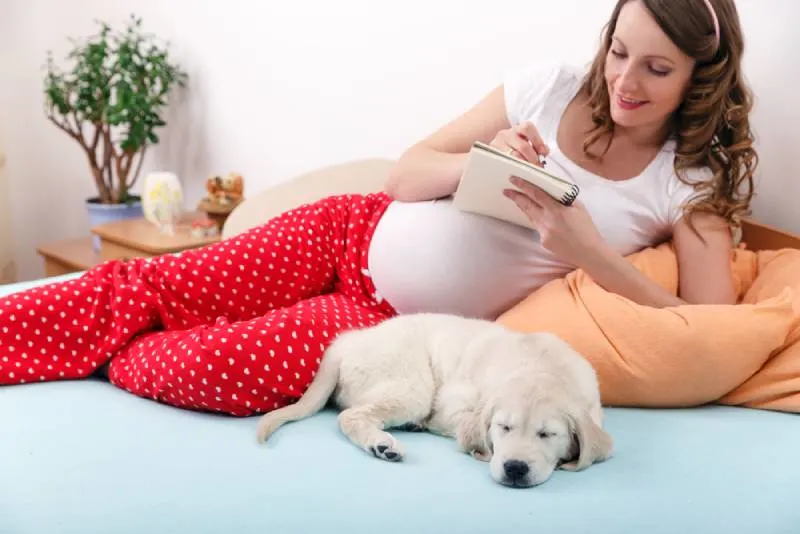 glückliche schwangere Frau, die einen Geburtsplan mit ihrem Hund schreibt, der neben ihr schläft