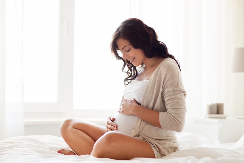 glückliche schwangere Frau, die auf Bett sitzt und ihren Bauch zu Hause berührt