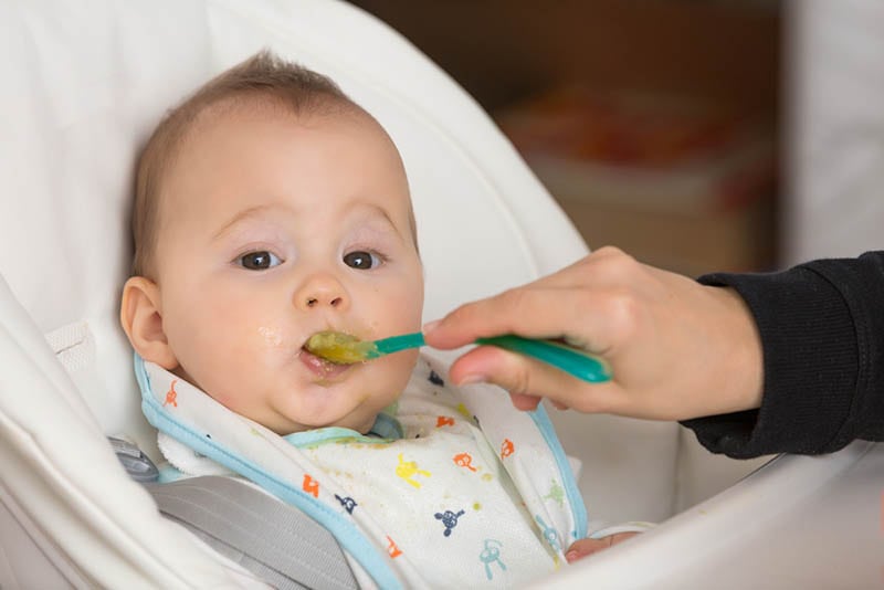 Mutter füttert Baby mit pürierter Avocado im Hochstuhl