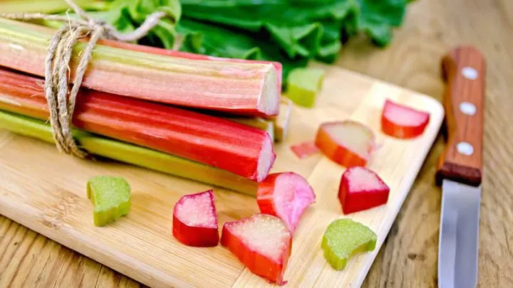 Rhabarber Schwangerschaft – Wegen Giftiger Säuren In Maßen Genießen