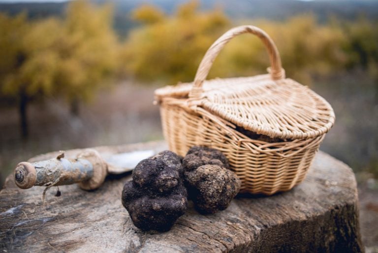 Korb mit schwarzen Trüffeln