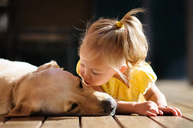 blondes kleines Mädchen küsst ihren Hund auf dem Boden