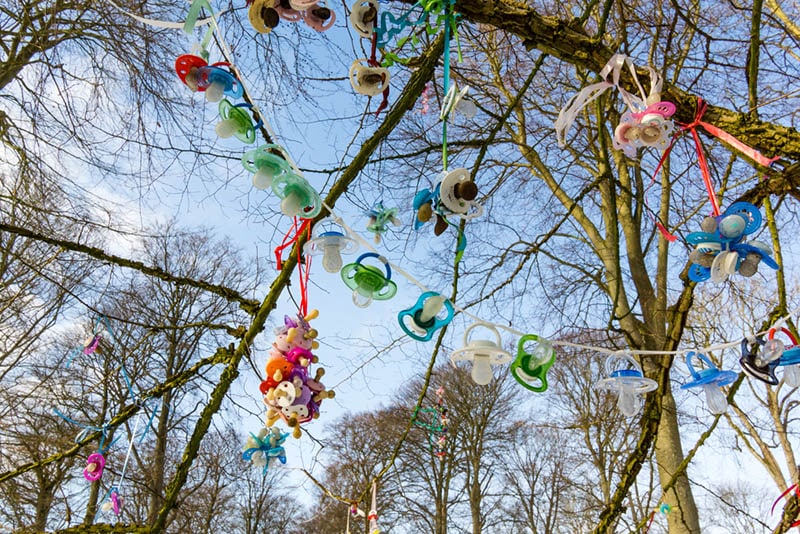 bunte Baby Schnuller hängen auf dem Baum im Freien