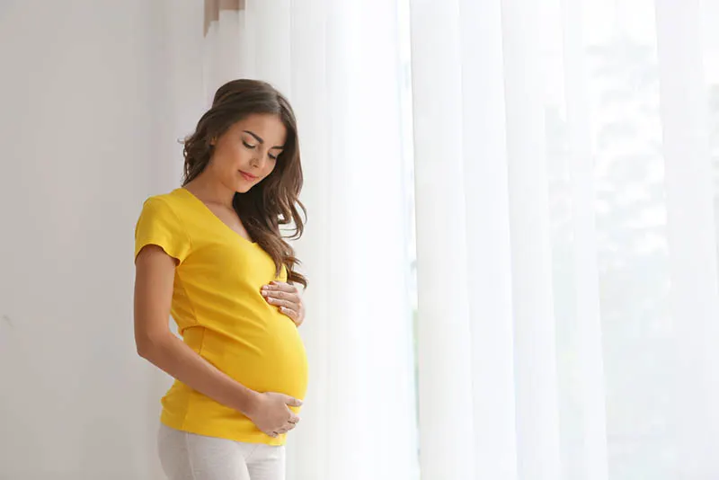 junge schwangere Frau steht am Fenster mit Händen auf dem Bauch