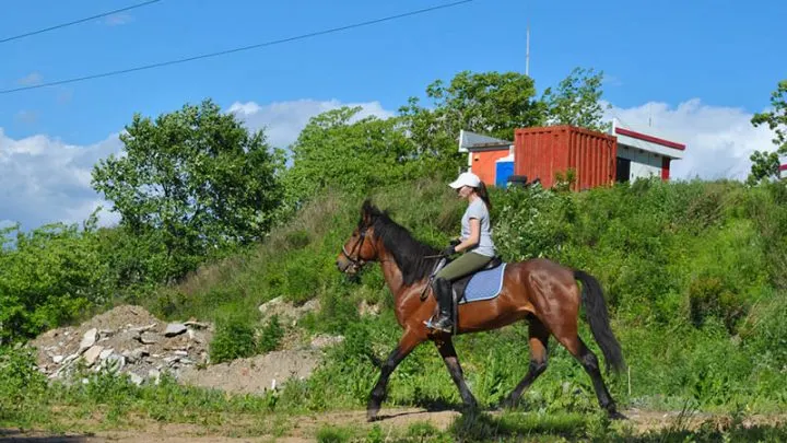 Vor- Und Nachteile Zum Thema Reiten In Der Schwangerschaft