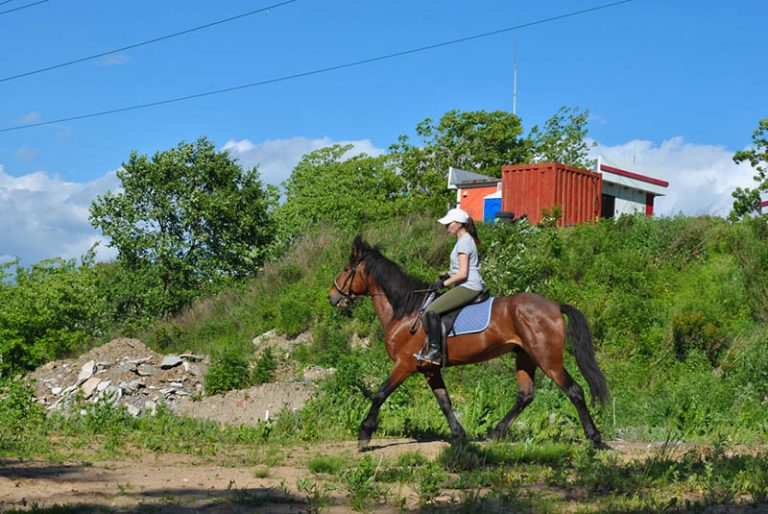 schwangere Frau reitet ein Pferd im Freien auf sonnigen Tag
