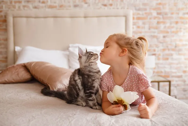 süßes kleines Mädchen küsst ihre Katze auf dem Bett