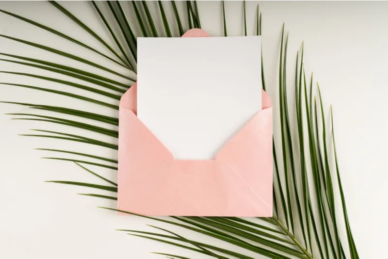 weiße leere Karte und ein Palmblatt auf einem weißen Hintergrund