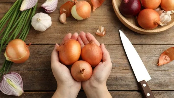 Zwiebeln In Der Schwangerschaft – Erlaubt Oder Eins Der Verbotenen Gelüste?