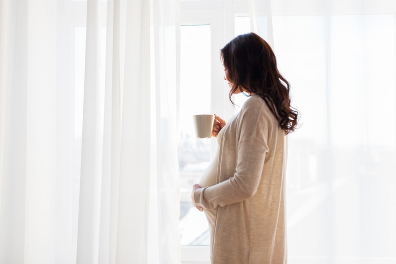 schwangere Frau, die am Fenster steht und Tasse Tee hält