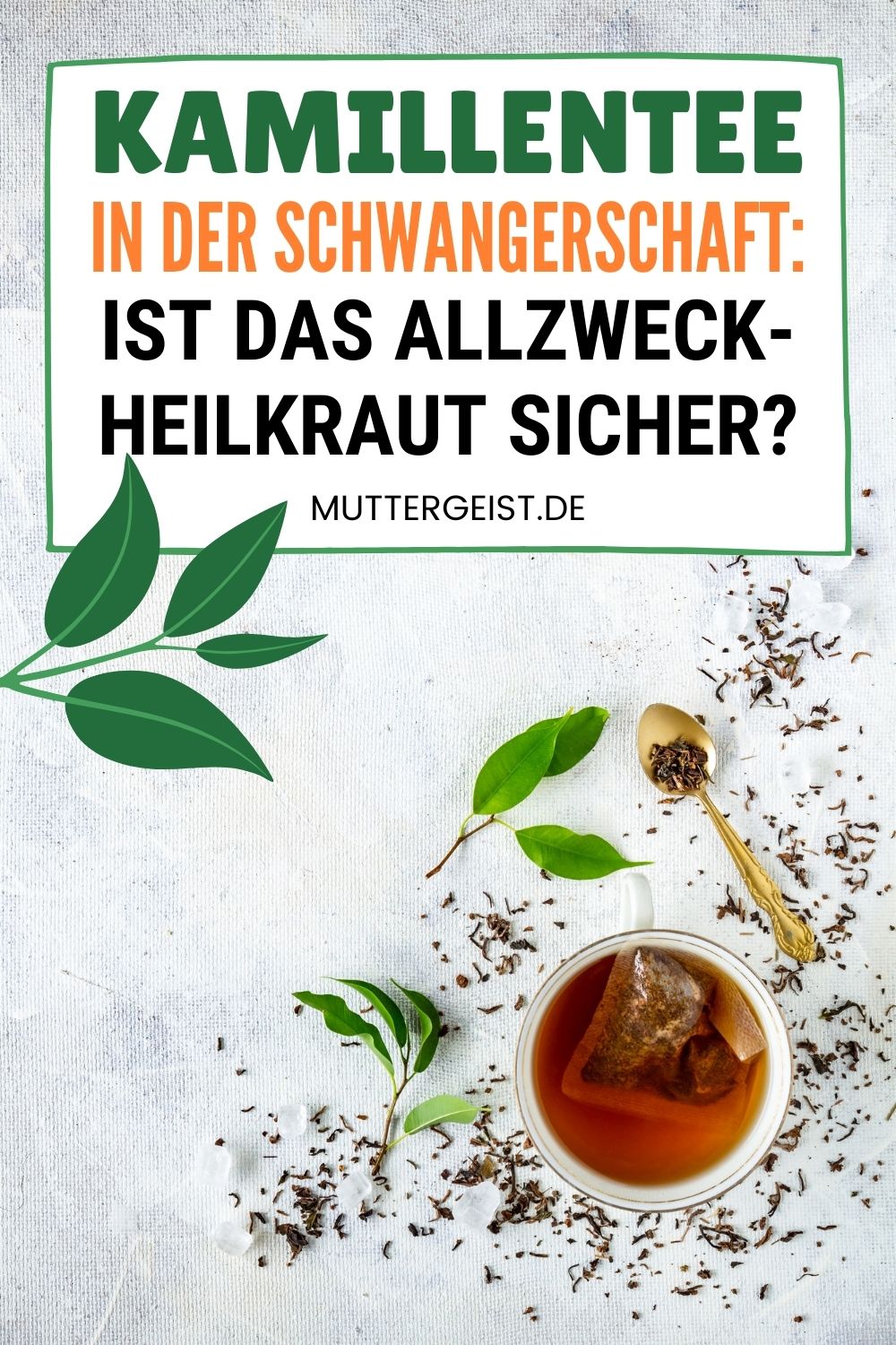 Kamillentee In Der Schwangerschaft – Ist Das Allzweck-Heilkraut Sicher Pinterest