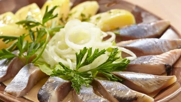 Matjes In Der Schwangerschaft – Darf Ich Diesen Fisch Genießen?