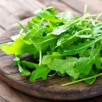 Frische Rucola-Blätter