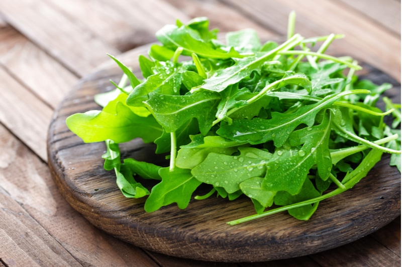 Frische Rucola-Blätter