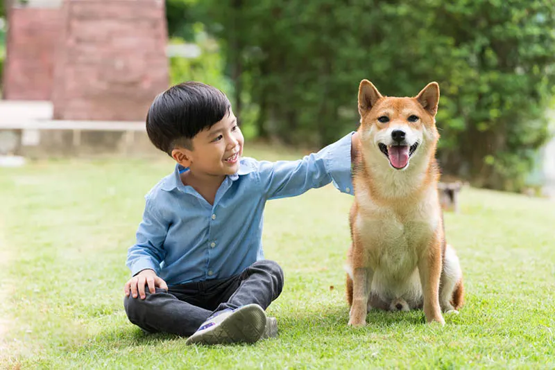 süßer kleiner Junge streichelt seinen Hund im Gras