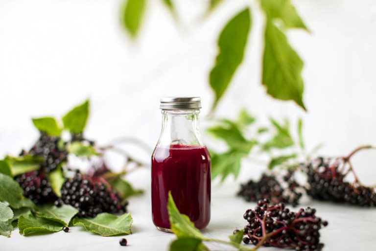 Holundersirup in einer Flasche auf dem Tisch