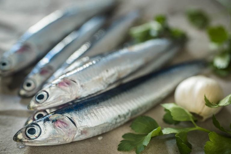 frische Sardellen mit Knoblauch auf dem Tisch