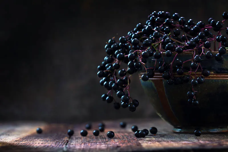 Schwarze Holunderbeeren in einer Schale und einige Beeren auf einem rustikalen Holztisch