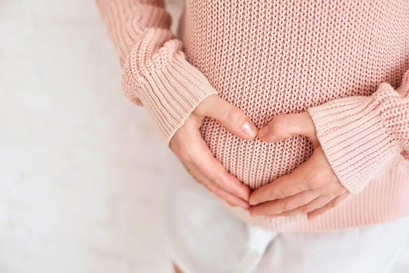 schwangere Frau in rosa Pullover hält ihren Bauch