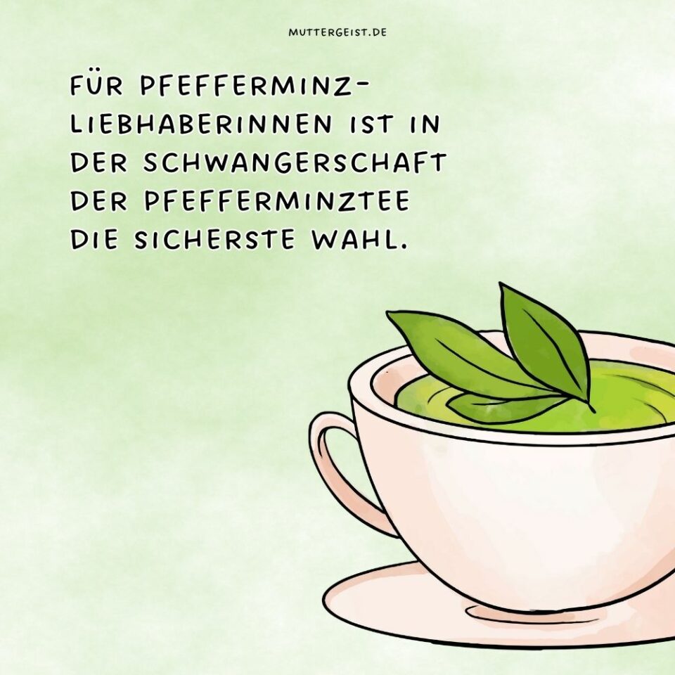 Ist Pfefferminztee in der Schwangerschaft gefährlich?