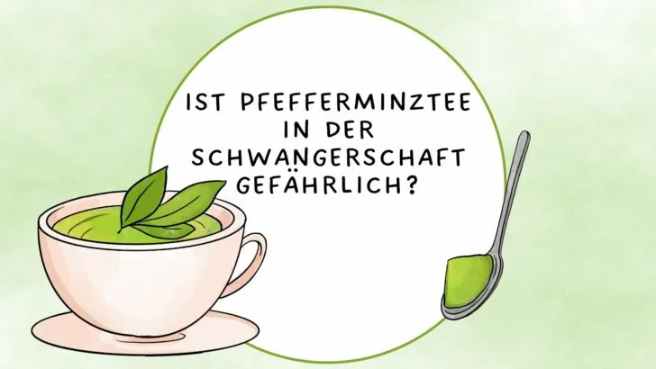 Ist Pfefferminztee in der Schwangerschaft gefährlich?