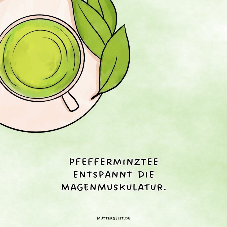 Ist Pfefferminztee in der Schwangerschaft gefährlich?