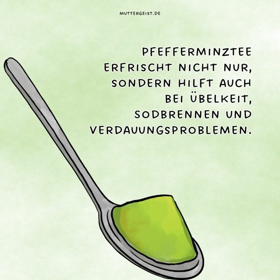 Ist Pfefferminztee in der Schwangerschaft gefährlich?