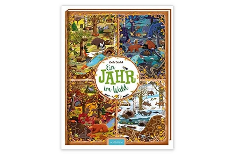 Ein Jahr im Wald