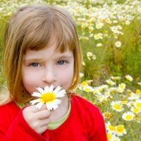 blondes kleines Mädchen riecht Blumen in der Natur