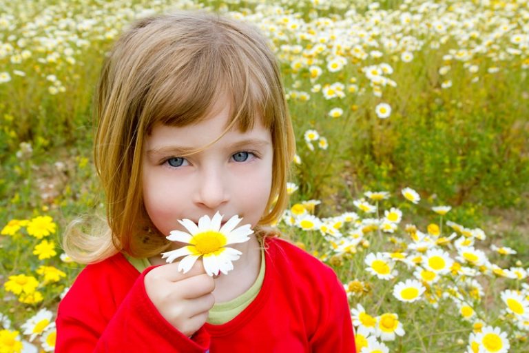 blondes kleines Mädchen riecht Blumen in der Natur
