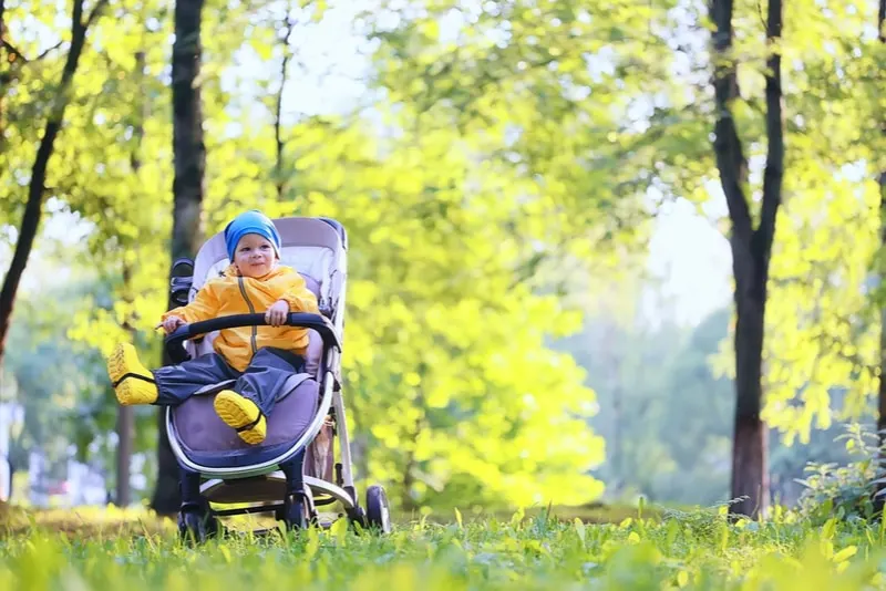 junge kleinkind sitzt im buggy kinderwagen im park