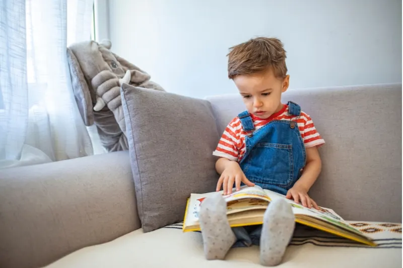 kleiner Junge, der zu Hause ein Buch liest