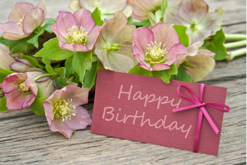 rosa Blumen mit Geburtstagskarte