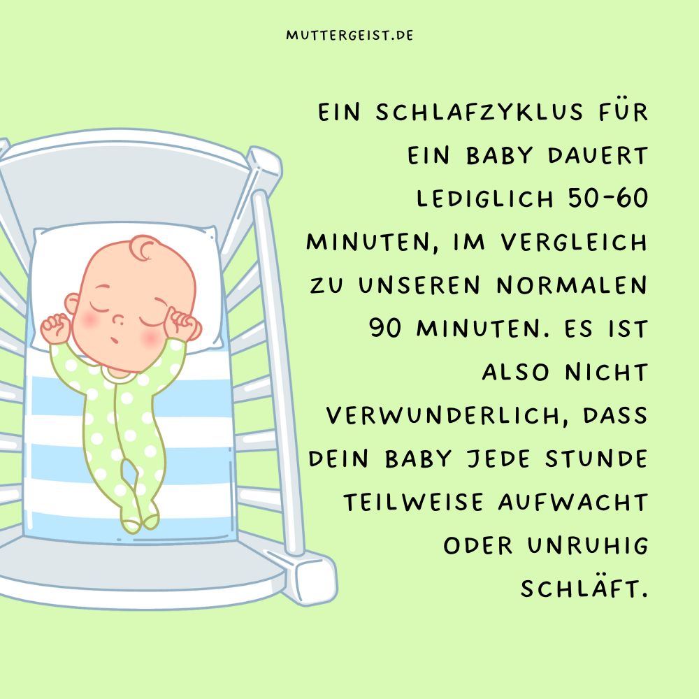 Ein Schlafzyklus für ein Baby dauert lediglich 50-60 Minuten, im Vergleich zu unseren normalen 90 Minuten.