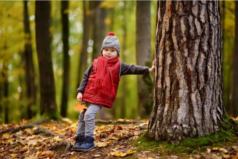 Kleiner Junge im Wald am sonnigen Herbsttag