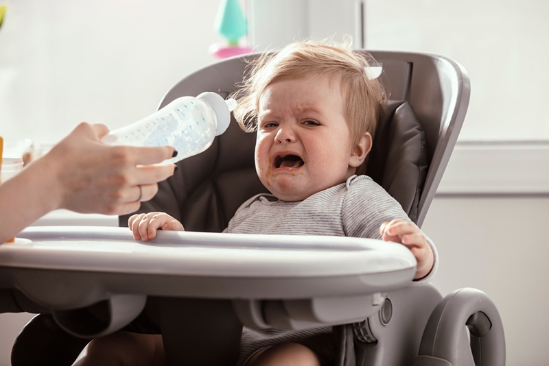 Mutter, die versucht, ein weinendes Baby mit Flaschenmilch zu füttern, das im Futterstuhl sitzt