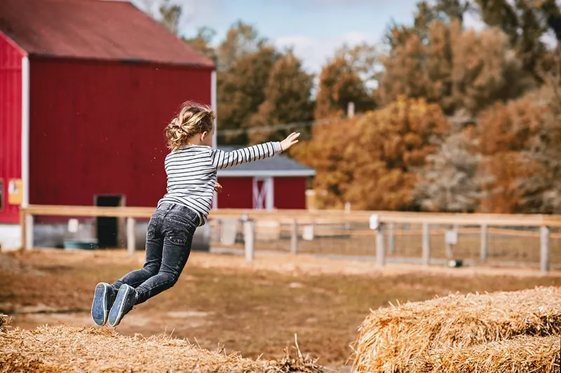 kleines Mädchen springt auf Heuballen auf Bauernhöfen