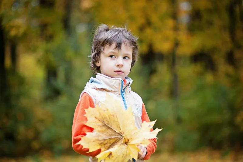 kleiner Junge, der getrocknete Blätter im Park hält