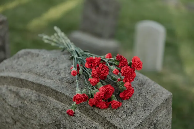Tagsüber rote Blumen auf einem Grab