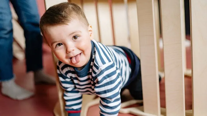 Jungennamen mit L – Häufig steckt ein Löwe dahinter