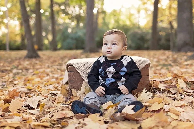 kleiner Junge sitzt auf getrockneten Blättern im Park