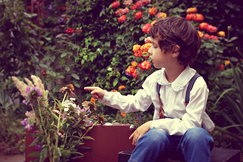 kleiner Junge sitzt im Blumengarten und berührt Blumen