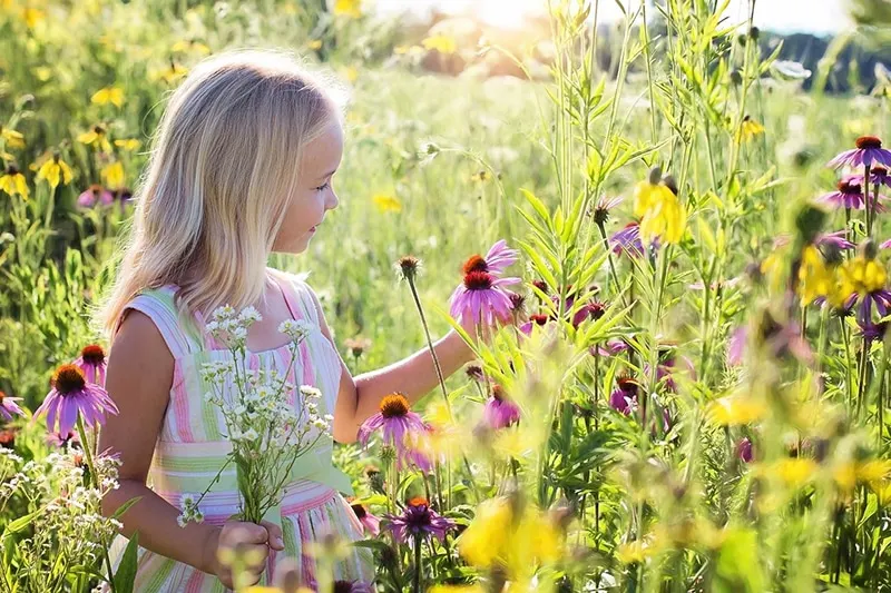 kleines Mädchen steht auf dem Blumenfeld und berührt Blumen
