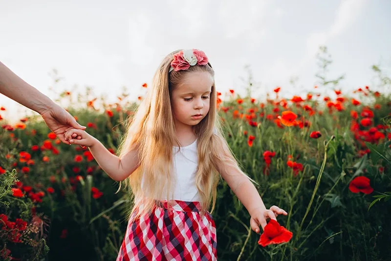 kleines Mädchen, das auf dem Blumenfeld steht und rote Blume berührt