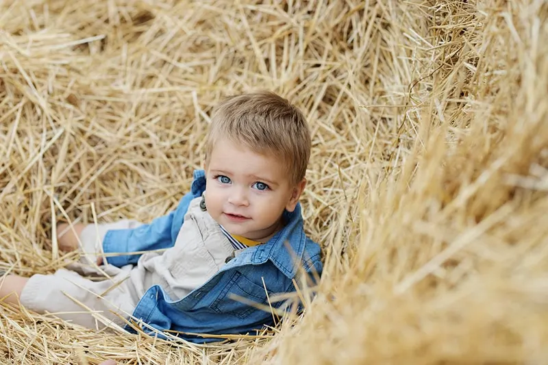 süßer Junge mit blauen Augen sitzt auf dem Stroh
