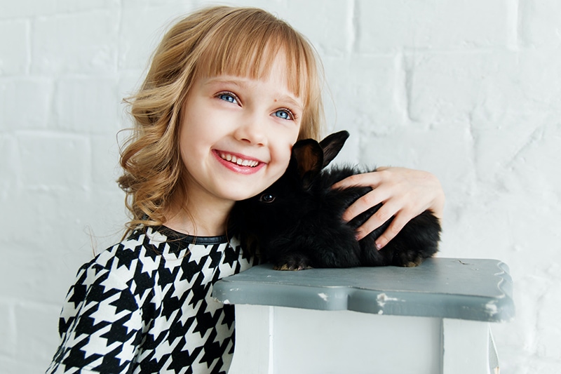 glückliches kleines Mädchen, das schwarzes Kaninchen kuschelt