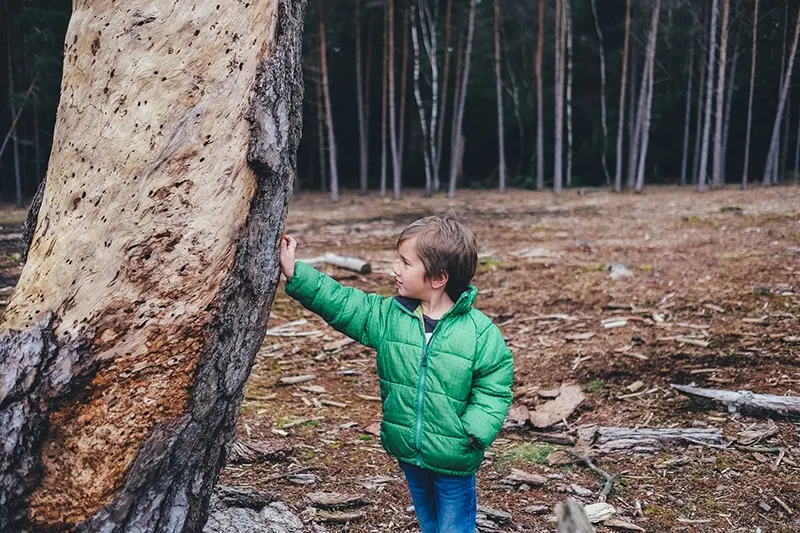 kleiner Junge in grüner Jacke, der sich mit der Hand auf einen Baum stützt